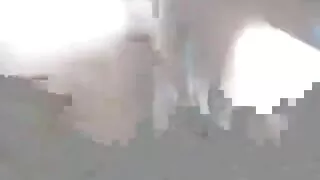 Kaks klapid porno seks bg Ladina.