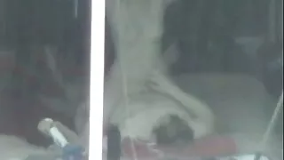 Lesbi dogi seks sugu ajal massaaž.
