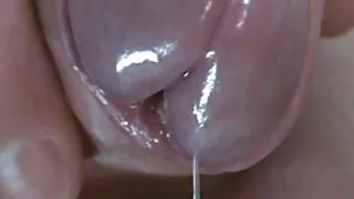 Ta purustas Melissa_burni tuss, keppis ja sirgendas free porno seks oma huuled.