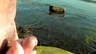 Cum kõht ja free animal seks aluspüksid südamed.